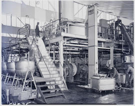 Rustenburg, 1950. Interior of jam canning factory.