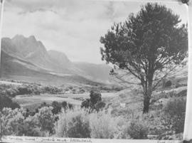 Stellenbosch, 20 February 1947. Jonkershoek.