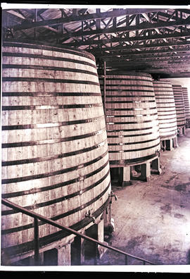Paarl, 1939. 1000 hectolitre vats at KWV.