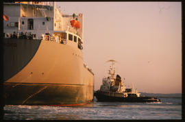 Richards Bay, July 1982. SAR tug in Richards Bay Harbour. [T Robberts]