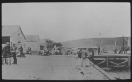 Durban, circa 1880. The Point. Durban Harbour.