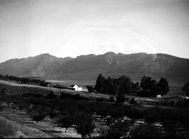 Tulbagh district, 1928. Fruit orchard and homestead in the distance.