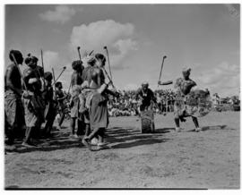 Nelspruit, 28 March 1947.  Traditional dancers in their dance routine.