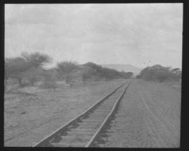 Naboomspruit, 1925. Narrow gauge track for roadrail line to Singlewood.