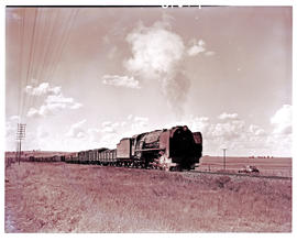 Virginia district, 1953. SAR Class 15F with goods train.