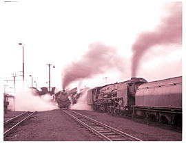 "Kimberley, 1978.   SAR Classes 19B and 25NC at Beaconsfield locomotive depot."