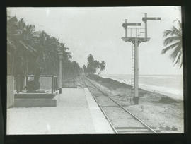Semaphore signals at station on coastline.