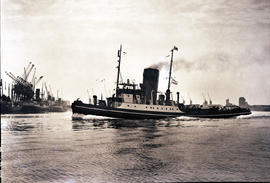 Durban, 1950. Harbour tug 'JD White'.