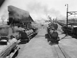 Johannesburg, 1942. Locomotives in Braamfontein yard, SAR Classes 16C, 4AR, 12A and 15F.