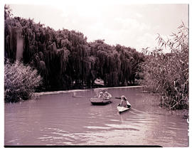Vereeniging district, 1951. Henley on Klip, boating on river.