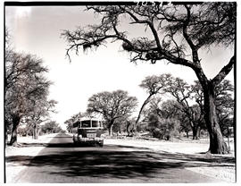 "Windhoek district, South-West Africa, 1961. SAR Canadian Brill MT16900 motor coach."