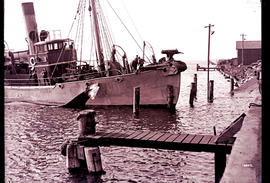 Durban. Arrival of whaler 'Durbana', harpoon on front.