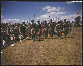 Eastern Transvaal. Traditionally dressed men marching with weapons.