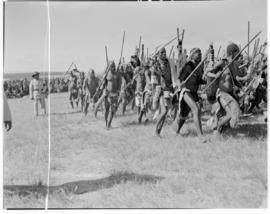 Eshowe, 19 March 1947. Zulu men dancing.