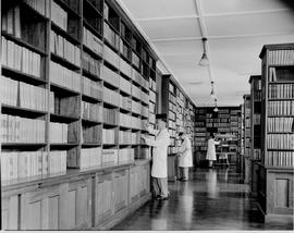 Pretoria, 1946. Interior of library at Onderstepoort.