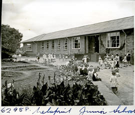 "Nelspruit, 1954. Junior school."