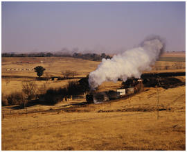 Free State, August 1987. SAR Class 25NC on goods train near bluegum tree. [D Dannhauser]
