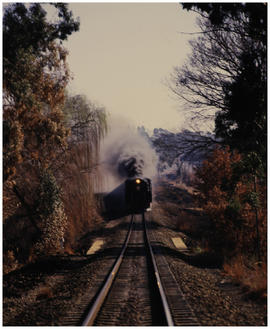 Bethlehem district, August 1987. Train near Slabberts. [D Dannhauser]