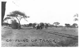 Naboomspruit district, circa 1924. Road-rail line. Tracklaying gang coupling up track sections. (...