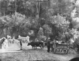 Cape Colony. Scots cart with four oxen at bridge in mountain pass.