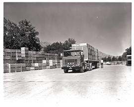 "Ceres, 1976. SAR ERF MT80237 trucks loading apples."