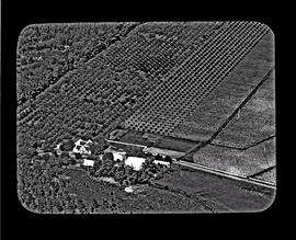 Aerial view of Cape Dutch homestead amidst fruit orchards.
