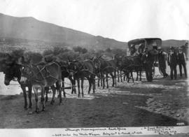 Namaqualand, 1906. Railway staff on 64 mile mule wagon trip from 20 February to March 10.