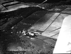De Doorns, 1935. Aerial view of fruit farm in the Hex River valley.