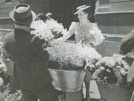 Cape Town, 1940. Flower sellers in Adderley Street.