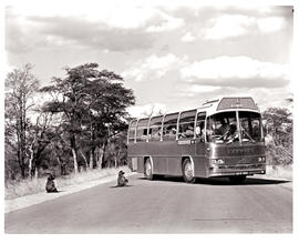 "Kruger National Park, 1973. Baboon at SAR MAN-Bussing MT60041 motor coach."
