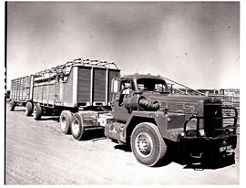 "Western Transvaal, 1975. SAR International Harvester MT18803 horse with two trailers."