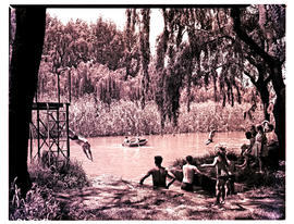 Vereeniging district, 1951. Henley on Klip, children swimming and diving.