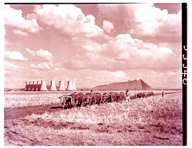 "Vereeniging, 1949. Klip River power station with ox wagon in the foreground."