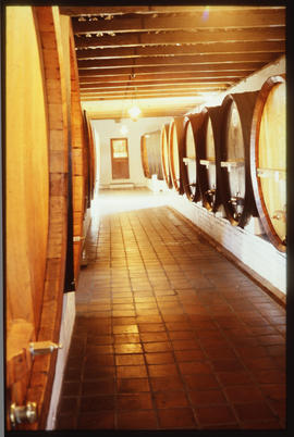 Wine vats in cellar.