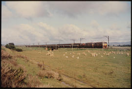 Gouda district, 1984. Trans-Karoo passenger train.