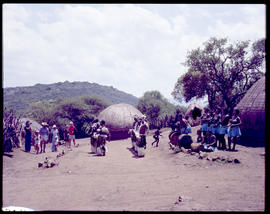 Tribal dancing for tourists in Zulu village.