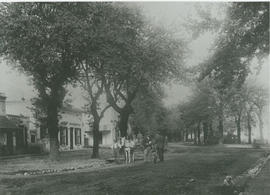 Stellenbosch, circa 1900. The Braak.