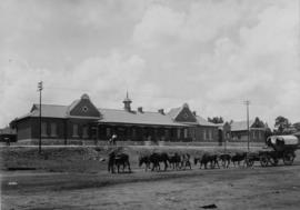 Johannesburg. Roodepoort station building with ox wagon in the foreground.