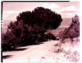 Paarl district, 1939. Mountain drive.