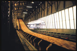 Richards Bay, September 1984. Conveyor belt at Richards Bay Harbour. [T Robberts]