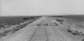 Acacia, 1895. Railway lines with stacked sleepers alongside. (EH Short)
