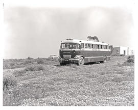 "Namaqualand, 1963. SAR Canadian Brill MT16915 motor coach amidst wildflowers."