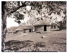Zululand, 1951. Shembe kraal.
