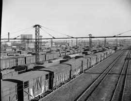 Durban, 1948. Locomotive yard.