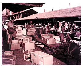 Cape Town, 1950. Loading boxes onto horse-drawn SAR trailer B3848 in railways goods yard.