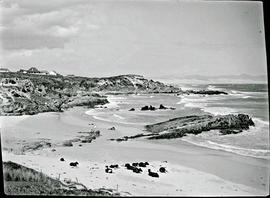 Hermanus, 1927. Rocky coast.