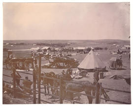Circa 1900. Anglo-Boer War. 'Mbieten Johl' laager at Standerton.