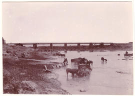 Circa 1900. Anglo-Boer War. Modder River bridge.