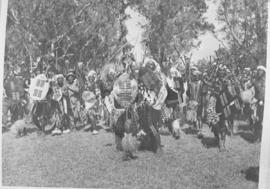 
Group of Zulu warriors.
