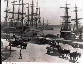 Durban. St Pauls Wharf and timber wharf with four sailships and three mule wagons in Durban Harbour.